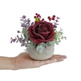 thumbnail image 2 of Red Rose in Pot Decor Potted Artificial Flowers Mini Plants Faux Flowers Indoor Small Decor Fake Roses for Home, Bathroom Kitchen Offices Wedding Party Centerpieces Blue, 2 of 8