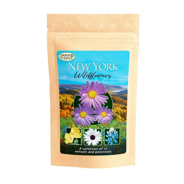New York Wildflower Bulk Seed Mix Over 50,000 Premium Seeds 15