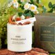 thumbnail image 4 of Vela aromática floral Mori al por mayor para interiores, dormitorio, con flores secas, incienso de larga duración, decoración, regalo, cera aromática., 4 of 6