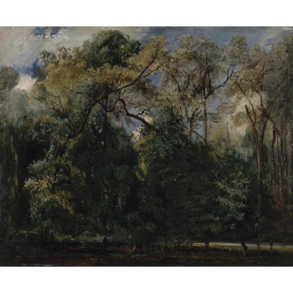 Paul Huet 17x15 Black Modern Framed Museum Art Print Titled - Les Ormes De Saint-Cloud (1823)