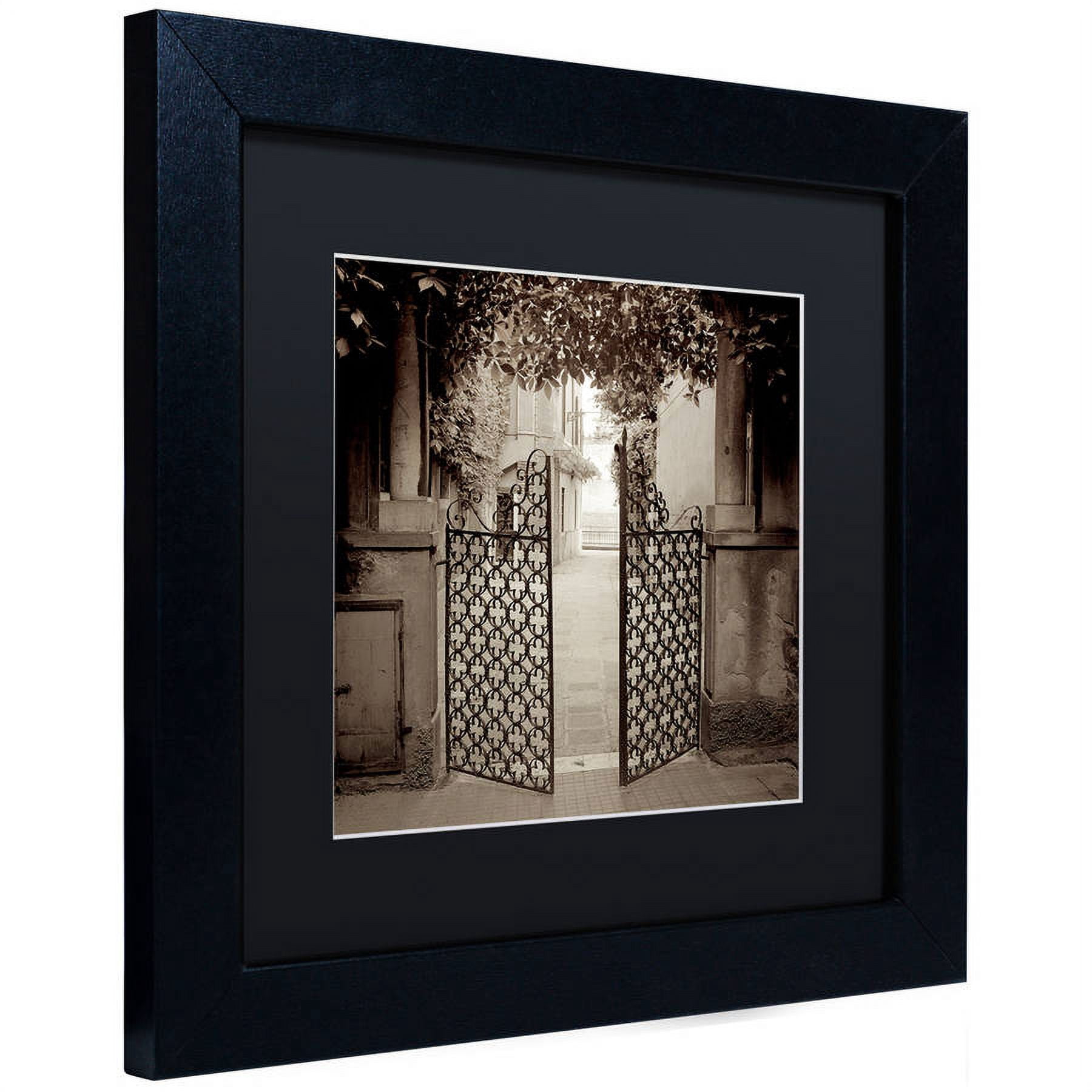 Trademark Fine Art "Venezia VII" Canvas Art by Alan Blaustein, Black Matte, Black Frame