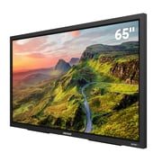 Element Electronics 65 4K UHD Partial Sun Outdoor Xumo TV (EP500AE65C)