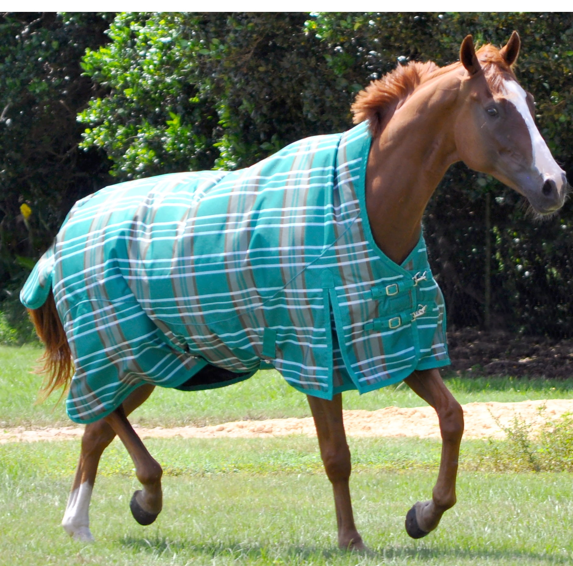 Jeffers Solaris Heavy Extended Neck Horse Blanket