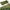 A, variant on RRCSS Camouflage Netting,Woodland Camouflage Net,Camouflage Net,Mesh,Cover,Blind For Hunting,Decoration,Sun Shade,Party,Camping,Outdoor 150*300Cm