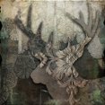 thumbnail image 2 of Sophie 6 12x12 White Modern Wood Framed Museum Art Print Titled - Gothic Forest Deer, 2 of 4