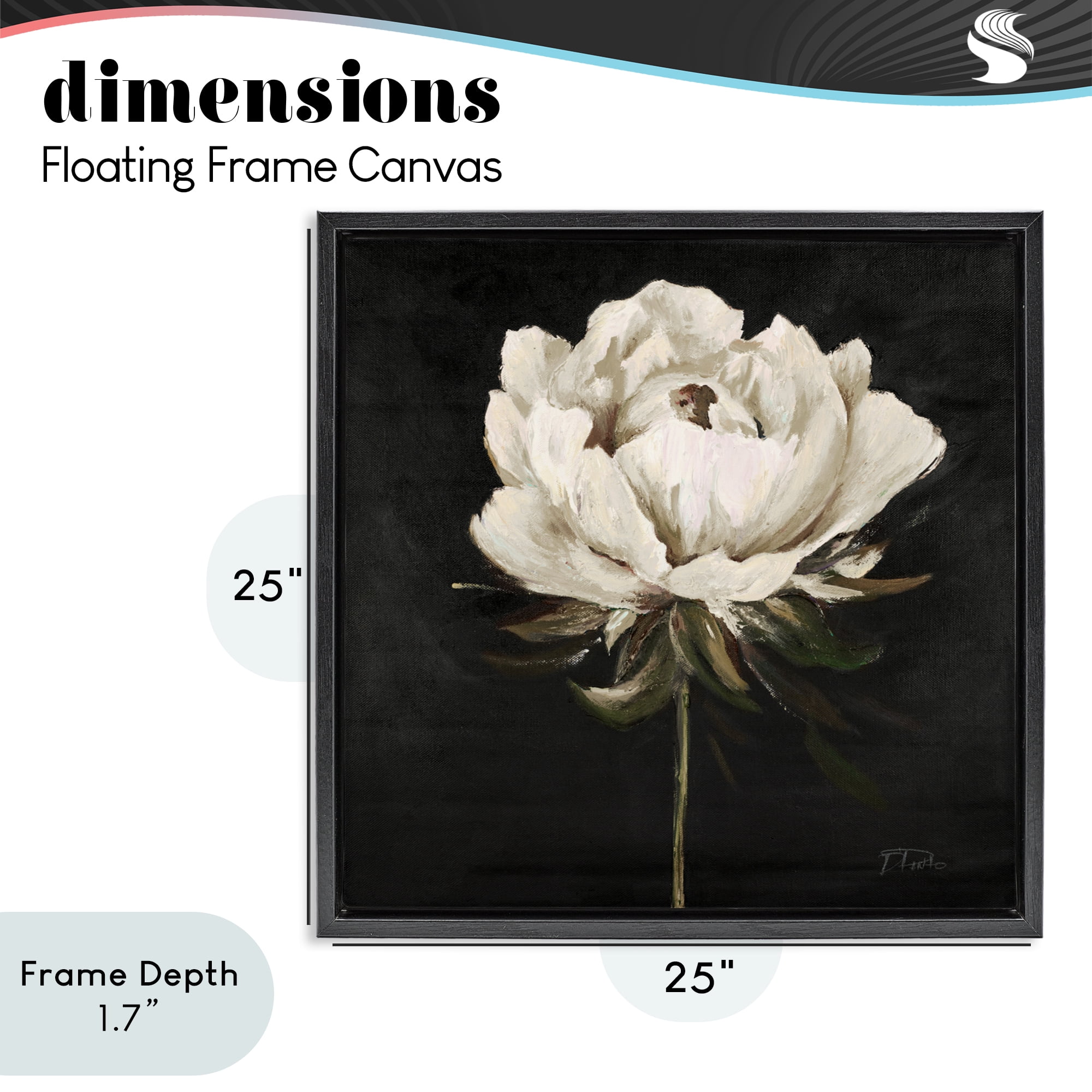 Stupell Industries Pretty Delicate Bloom on Black Black Framed Floater Canvas Wall Art, design by Patricia Pinto