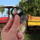 thumbnail image 4 of HOOWIFFY 4Ud Anclajes D Ring En Hierro Para Uso Interior En Trailer Con Resistencia Y Multifuncionalidad, 4 of 8