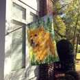 thumbnail image 2 of Carolines Treasures SS8878CHF 28 x 40 In. Norwich Terrier Flag Canvas- House Size, 2 of 4