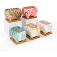 thumbnail image 2 of Rectangular Succulent Pots with Drainage, 4.7" Cactus Succulent Planter with Trays Modern Ceramic Flower Plant Bonsai, 2 of 5