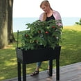 thumbnail image 3 of Expert Gardener Elevated Garden Bed with Self-Watering System for Patios, 3 of 7