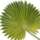 thumbnail image 4 of unbranded Hojas Decorativas Artificiales Para Arreglos Y De Eventos, 4 of 8