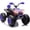 Purple, variant on 24V 2-Seater Electric Ride-On ATV, 350W Four-Wheel Off-Road Quad with High/Low Speed, Removable Battery, Rear Hydraulic Suspension, 110 Lbs