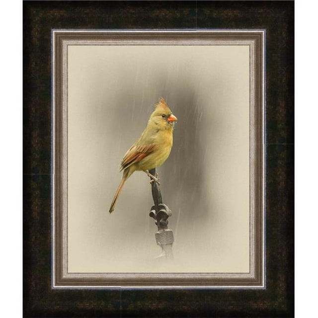 Somerset House Publishing 5113 Femme Cardinal&44; Encadré Giclee Toile Art