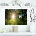 thumbnail image 1 of Sunny Day in Green Forest Meadow - Oversized Landscape Canvas Art, 1 of 3