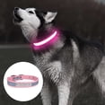 thumbnail image 3 of Dublin Dog todos los estilos collar de perro inodoro, 3 of 5