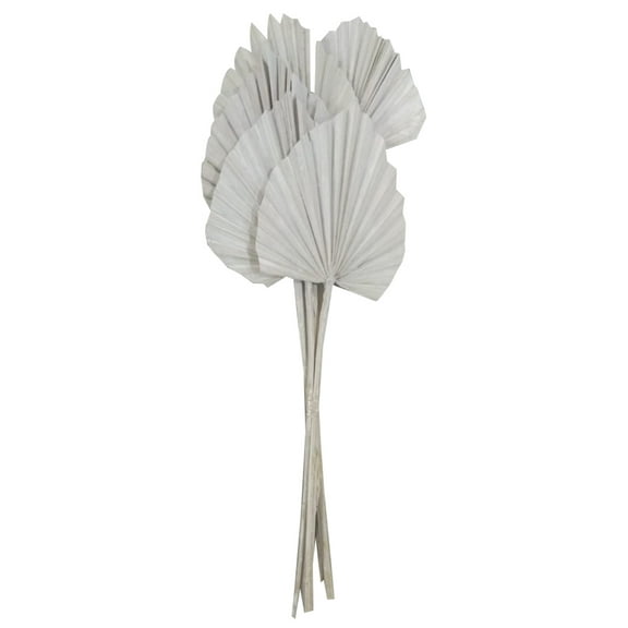 Vickerman Natural Botanicals 20" White Washed King Palm Spear. Includes 10 Pieces per Bunch.