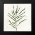 thumbnail image 2 of Purinton, Julia 20x20 Black Modern Framed Museum Art Print Titled - Plantlife I Green, 2 of 5