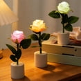 thumbnail image 1 of Luz nocturna LED Rose En maceta Lámpara de flores Plástico alimentado por pilas Rosa Oro Blanco Ambiente romántico Escritorio Dormitorio Decoración del hogar Regalo Boda, 1 of 6
