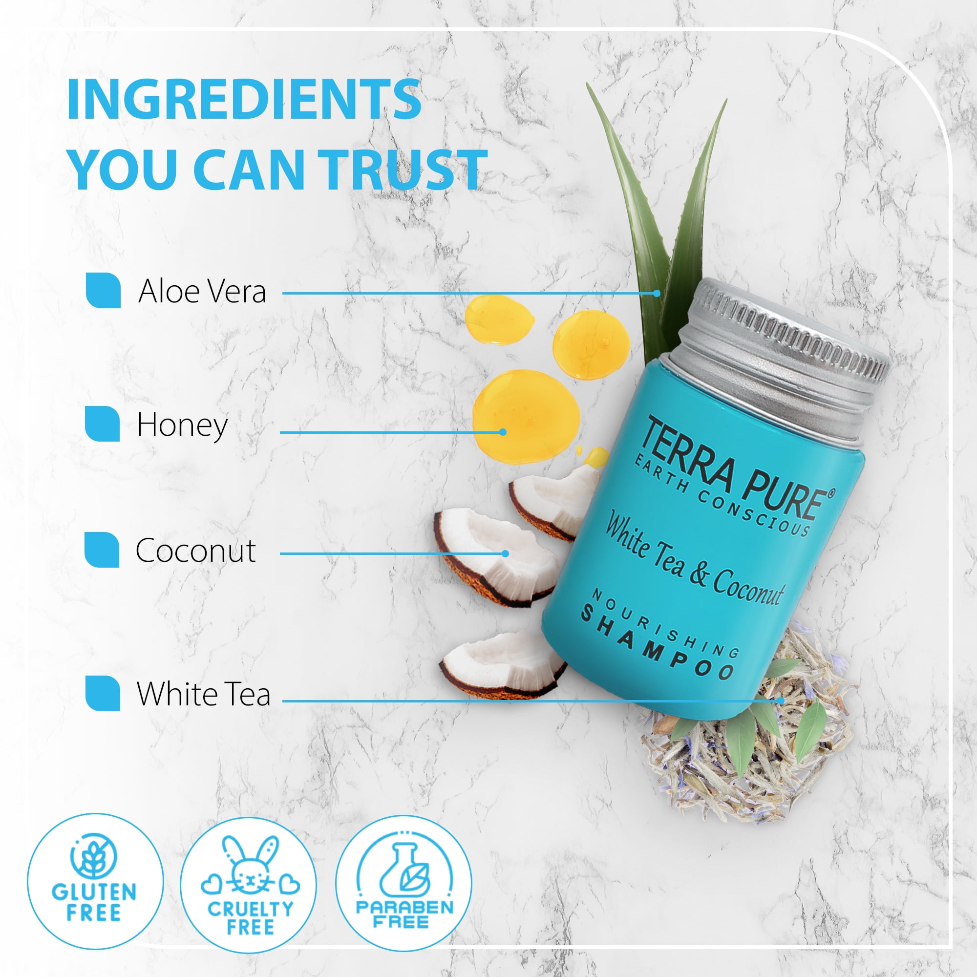 Terra Pure White Tea and Coconut Hotel Soaps and Toiletries Bulk Set | 1-Shoppe All-In-Kit for Hotels | 1oz Shampoo & Conditioner, Body Wash, Lotion & 1.25oz Bar Soap | Travel Size Toiletries 150 Piec