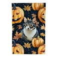 thumbnail image 2 of Heduofu Halloween Pumpkin Cat Garden Flag Vertical Fall Thanksgiving Yard Flag Yard Seasonal Holiday Outdoor Decor White, 2 of 6