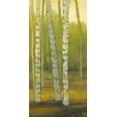 thumbnail image 2 of Joy, Julie 18x32 White Modern Wood Framed Museum Art Print Titled - Sunny Birch Grove II, 2 of 4