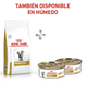 thumbnail image 2 of Combo Royal Canin Urinary So Feline 3.5 Kg MAS Dos Latas Royal Canin Adulto 385 gr, 2 of 2