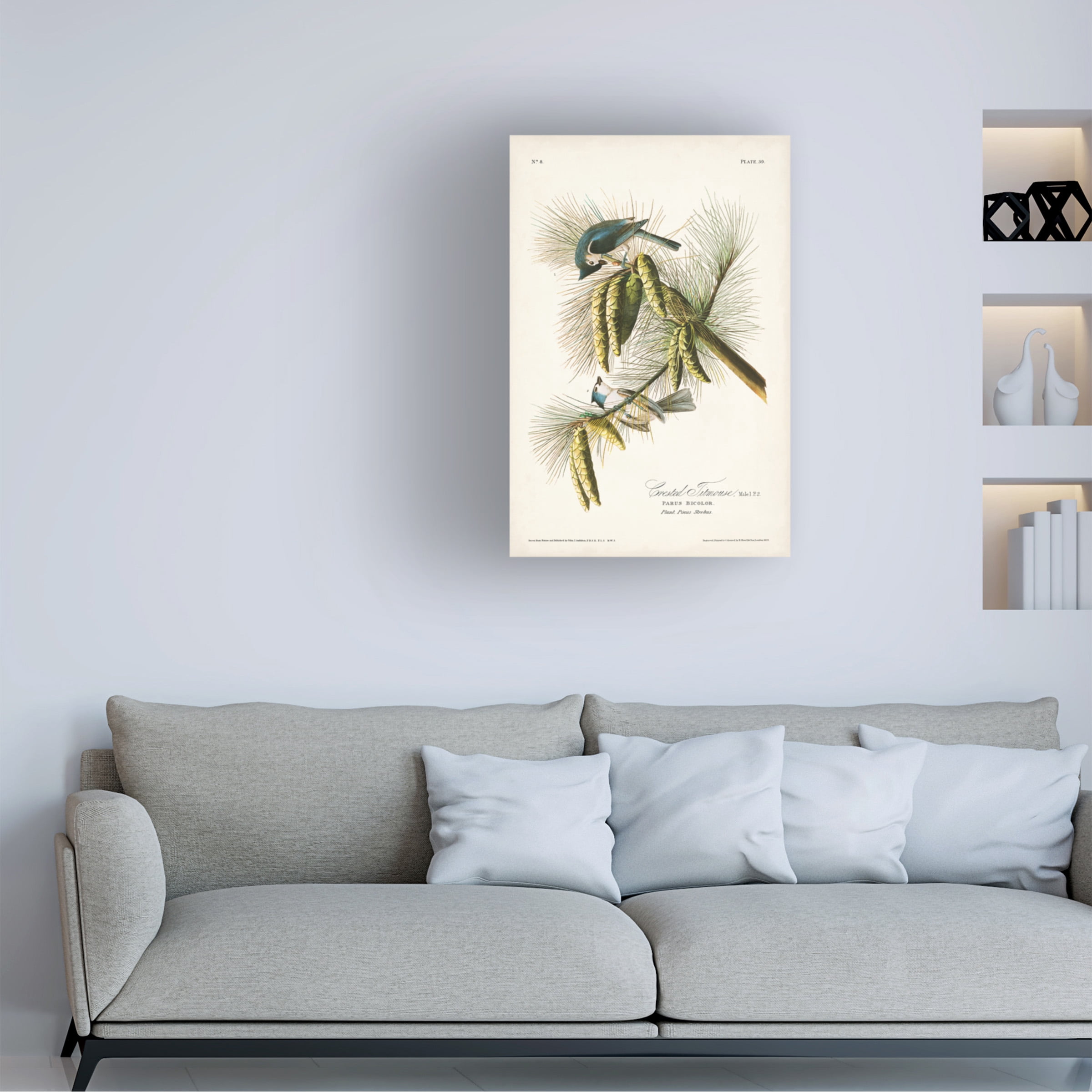 John James Audubon 'Crested Titmouse' Canvas Art