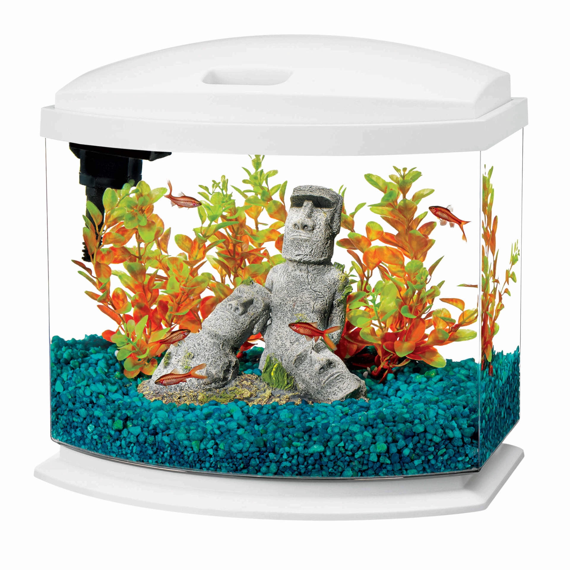 mini bow 5 gallon fish tank