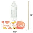 thumbnail image 3 of Big Dot of Happiness Funny Sweet as a Peach - Fruit Themed Baby Shower or Birthday Party Photo Booth Props Kit - 10 Piece, 3 of 5