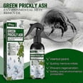 thumbnail image 2 of Bed Bug And Dust Mite Killer Natural Spray Treatment For Mattresses, Comforters, Carpets And Furniture, 2 of 5