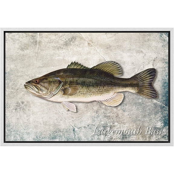 wall26 Framed Canvas Print Wall Art Largemouth Bass Fish on Granite Background Marine Life Animals Digital Art Realism Nautical Scenic Colorful Ultra for Living Room, Bedroom, Office - 16"x24&qu