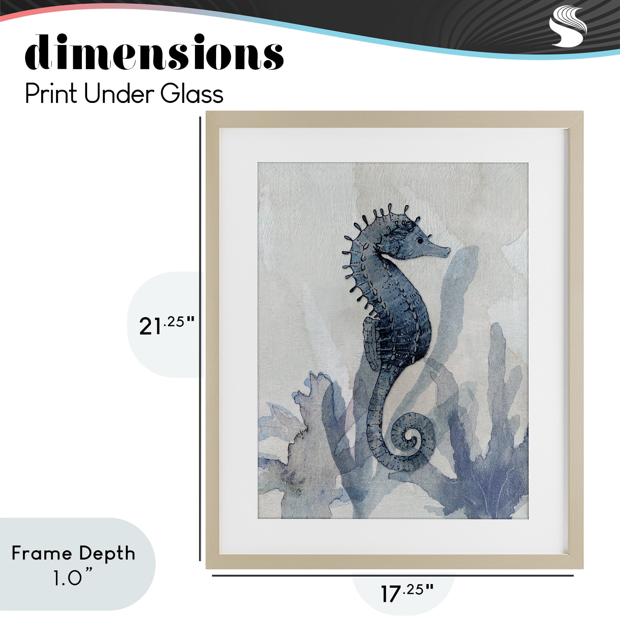 Stupell Industries Seahorse & Seaweed Impressions Birch Framed Print Under Glass, design by Susan Jill