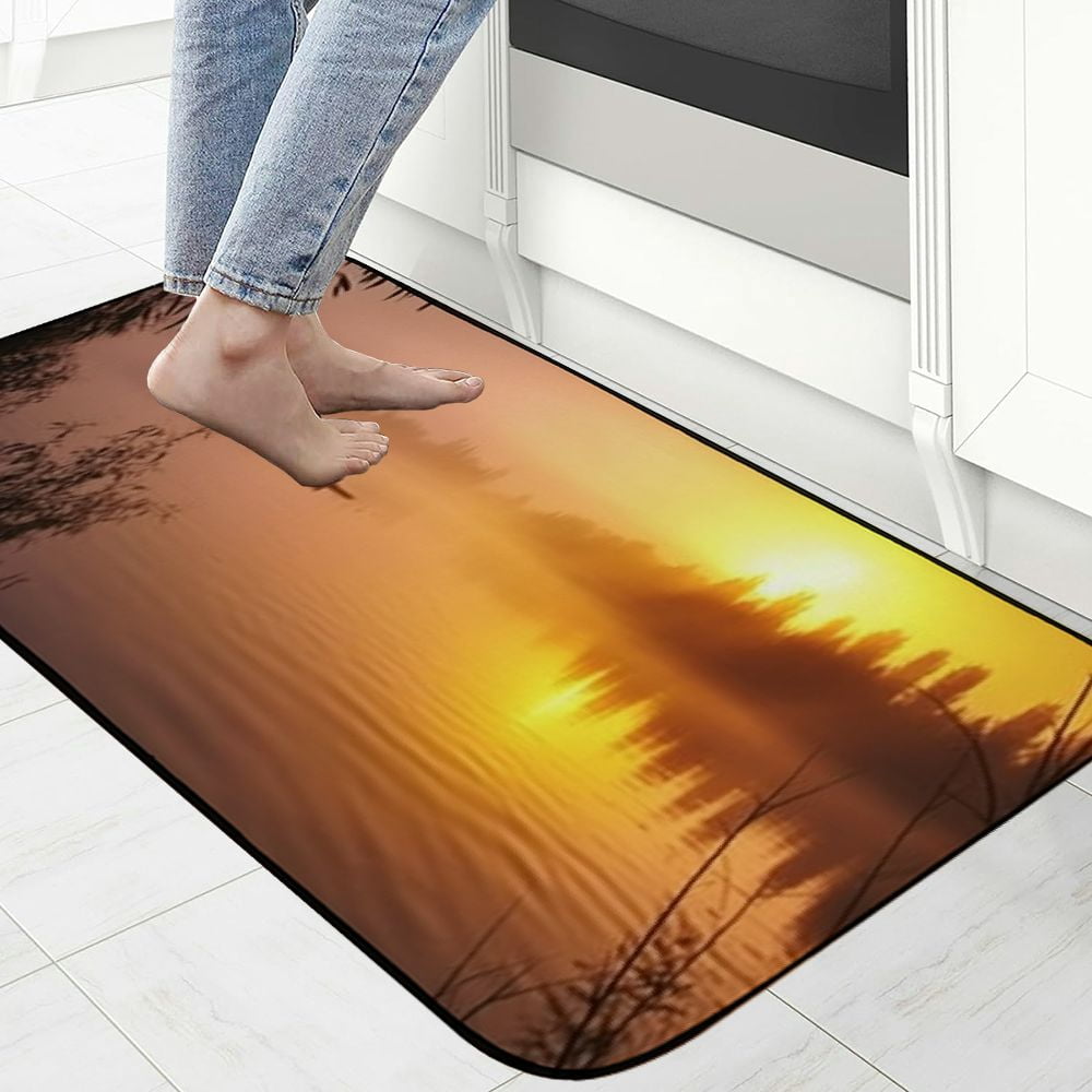 PHYHOO Decorative Door Mat, Door Mat with Non-Slip Rubber Backing, Easy Cleaning, Traps Dirt, Rug for Entry, Patio, Garage - Gravel Pond Pond Water Lake Landscape Nature 13 19.68*47.24 in