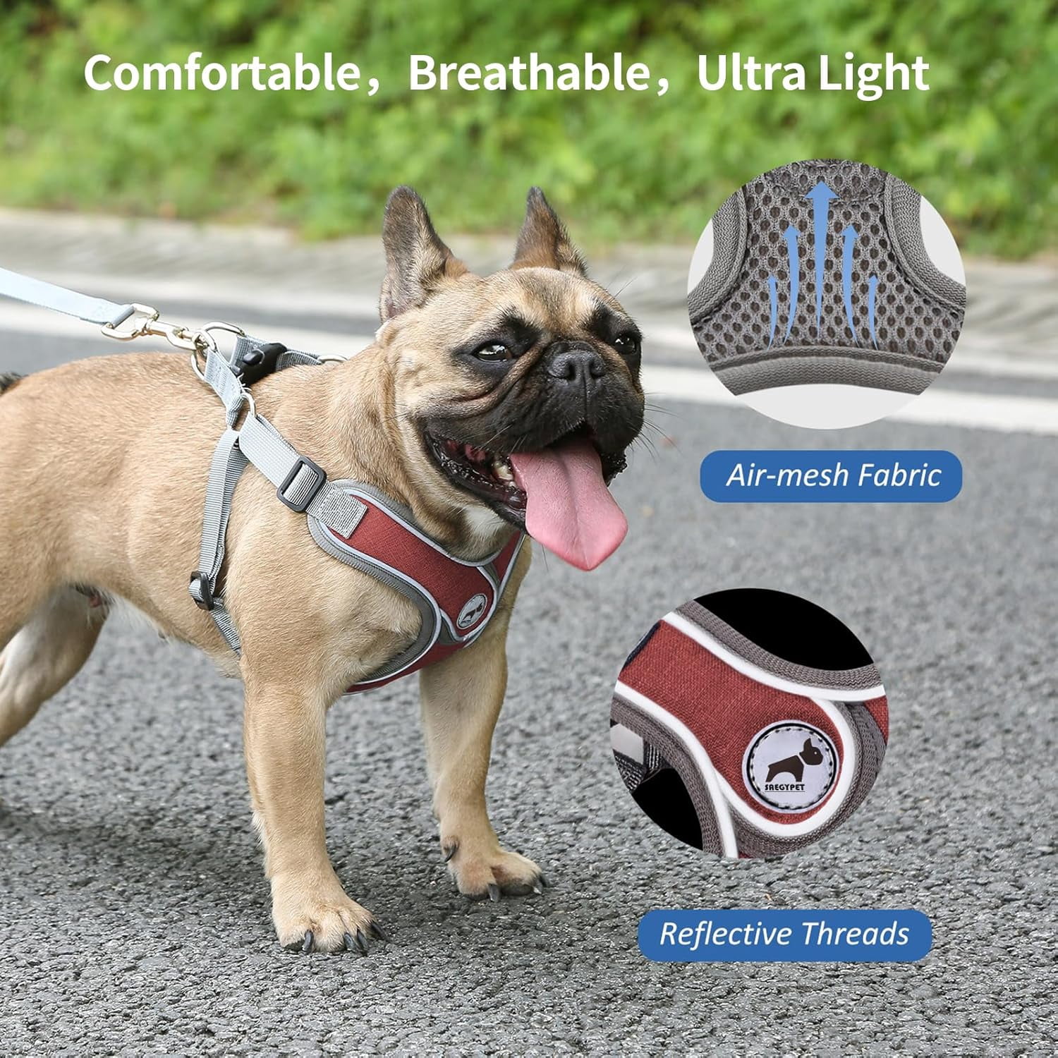 Dog Harness with Leash, Soft Adjustable Step in Reflective Strips Collars Harness Vest for Small Medium Dogs Training and Running(M, Red)