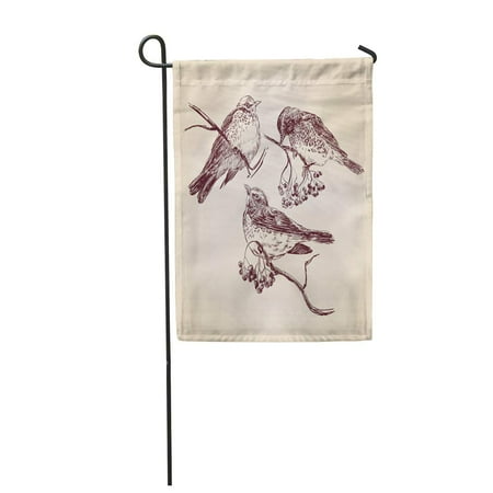 House Sparrow Nest Box KDAGR Sketch Bird Vintage Nest Sparrow Starling Winter Aves Hunting Garden Flag Decorative Flag House Banner 12x18 inch ()