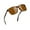 01-Leopard Brown, variant on Polarized Sunglasses for Women Men Vintage Retro Classic Square Frame Aluminum Legs (Leopard Brown)