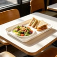 thumbnail image 3 of HWRETIE Reusable Plastic Serving Tray,15 X 10.4 Inch Food Serving Platter for Kitchen,Party,Picnic,Bbq,Restaurant and Everyday Dining, 3 of 6