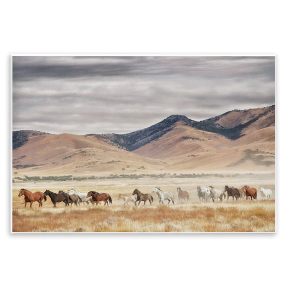 Stupell Industries Southwestern Wild Horses Roaming Across Western Landscape Wall Plaque Art, 15 x 10, by PH Burchett