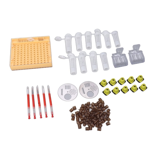 Caja de cría de abejas reinas, sistema de cría de reinas de plástico Kit de cría de reinas Kit de cría de abejas reinas Tecnología innovadora