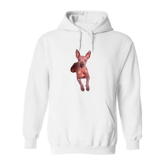 Mexican Xoloitzcuintli Hoodie Women -Image by Shutterstock, Female Large