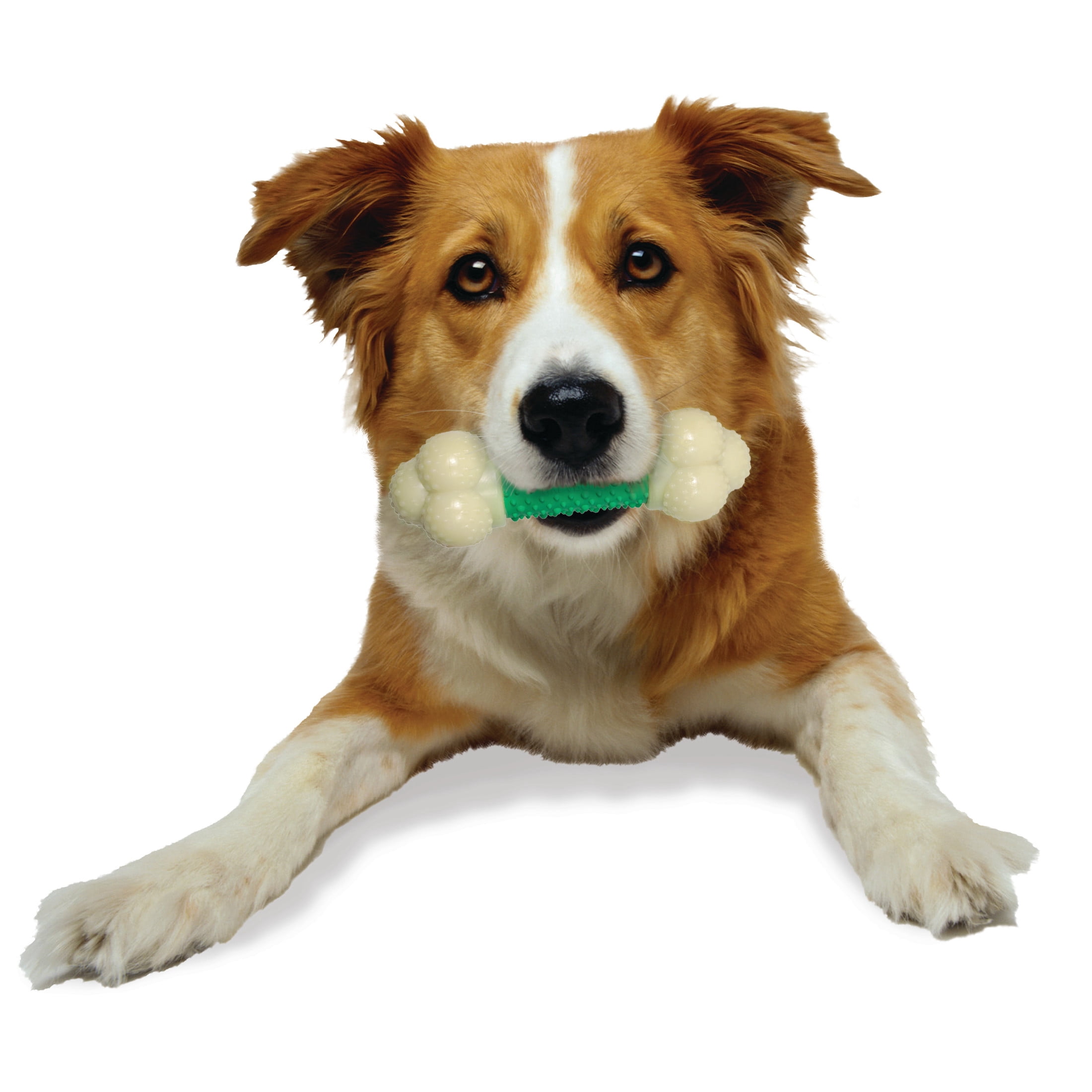 Nylabone Power Chew Double Action Bone Dog Toy, Rubber Dog Chew Toy, Bacon Flavor, Medium, 1 Count
