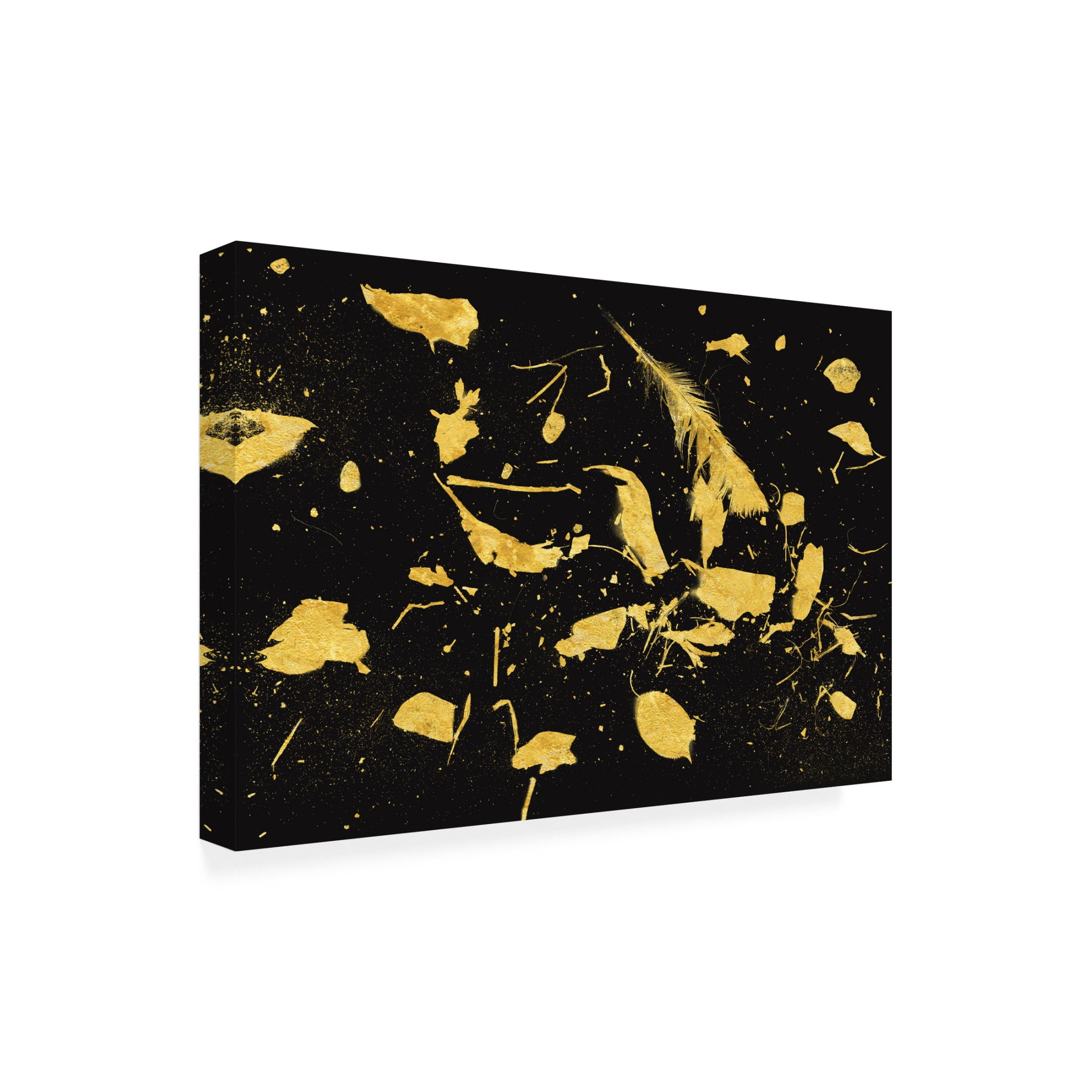 Trademark Fine Art Florent Bodart Gold Dust Canvas Wall Art