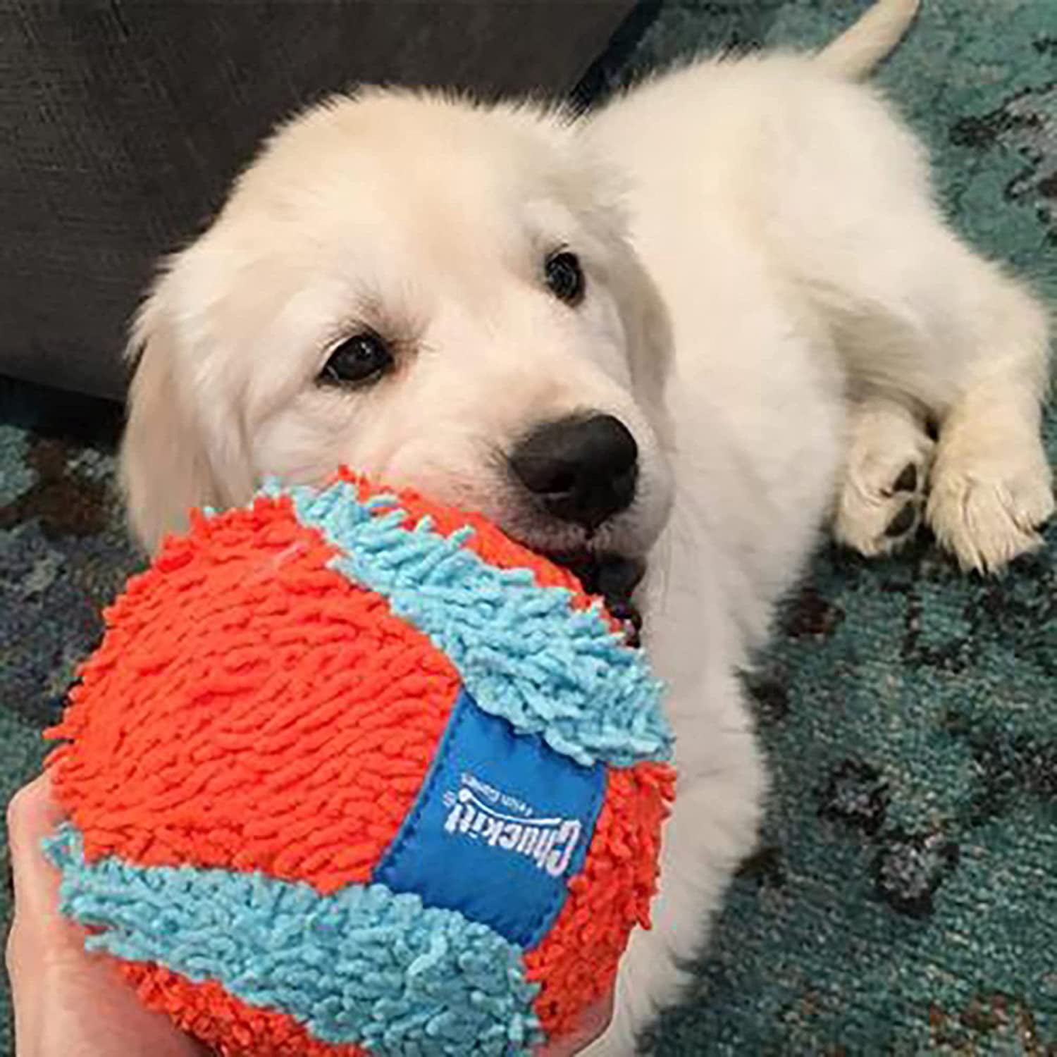Chuckit! INDOOR FETCH TOYS Dog & Puppy Soft Interactive Play ROLLER BALL 2 PACK