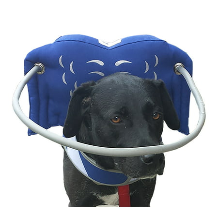 Muffin's Halo Guide for Blind Dogs, Large (Blue)
