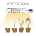 thumbnail image 2 of Ceramic Metal Halide Lamp 600W 3000K Greenhouse Grow Light Bulb, 2 of 8