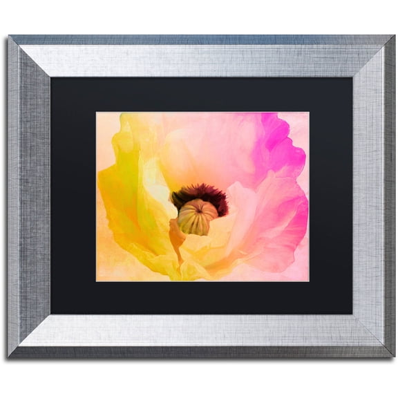 Trademark Fine Art "Poppy Gradient II" Canvas Art by Color Bakery Black Matte, Silver Frame