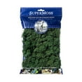 thumbnail image 3 of SuperMoss Preserved Reindeer Moss, Basil, Approx. 2oz - Use to Cover Soil, Dress Orchids or Ornamentals, or Adding Natural Accents, 3 of 3