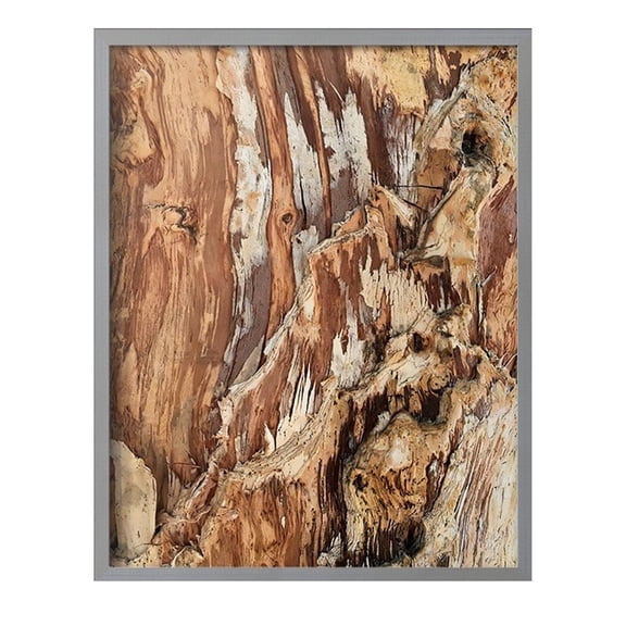 Tree Texture Triptych I Framed Print in Gray Solid Wood Framed Print No Nail Hanging