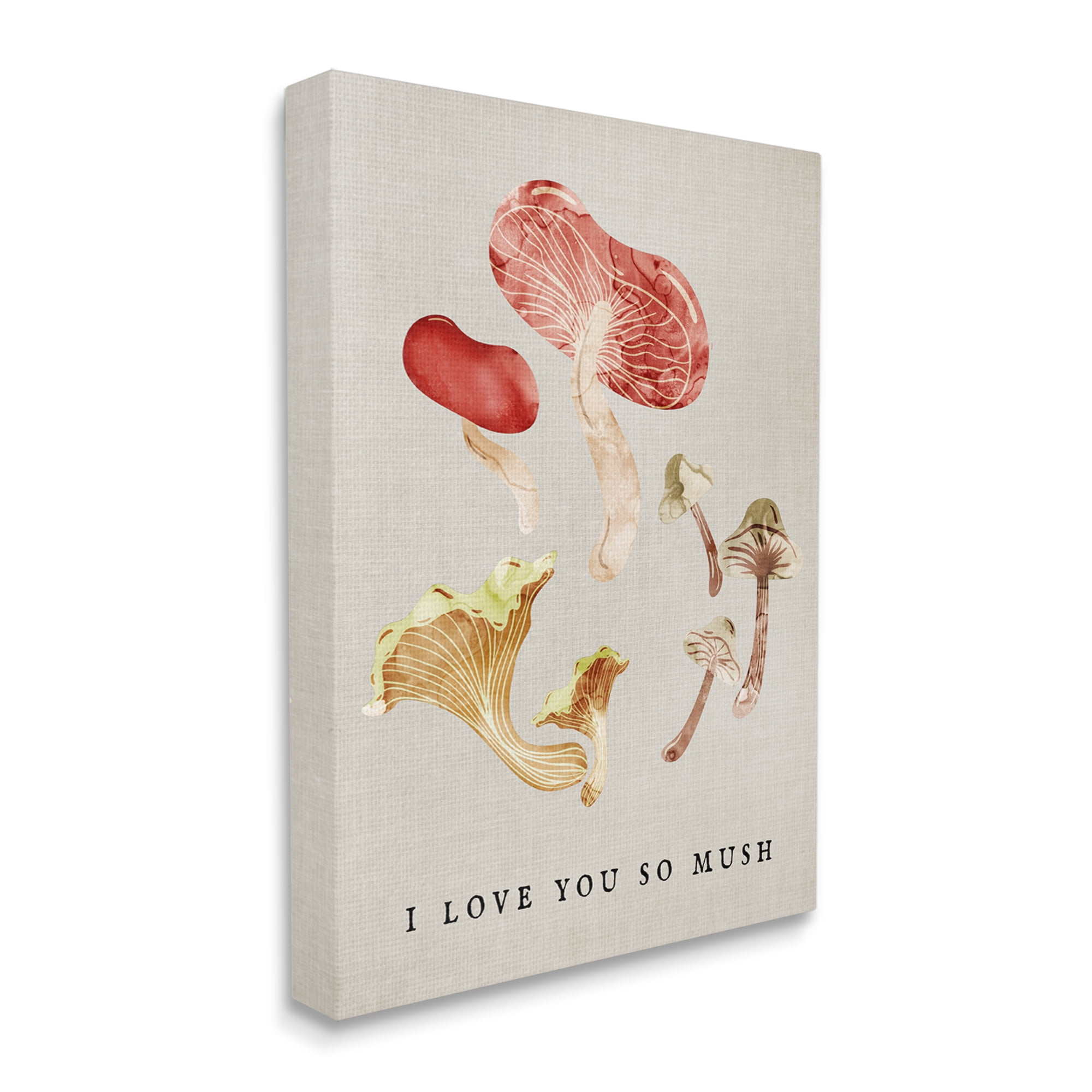 Stupell Industries Love You So Mush Pun Botanical & Floral Painting Gallery Wrapped Canvas Art Print Wall Art, 16 x 20