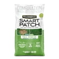 thumbnail image 3 of Pennington Smart Patch Tall Fescue Grass Seed Mix for Sun to Partial Shade, 30 lb., 3 of 20